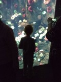 DSC00531.JPG