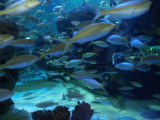 DSC00541.JPG