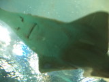 DSC00554.JPG
