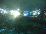DSC00556.JPG