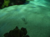 DSC00561.JPG