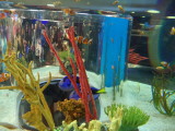 DSC00565.JPG