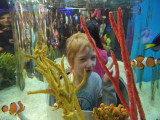 DSC00567.JPG