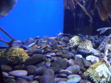 DSC00574.JPG