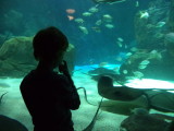 DSC00583.JPG