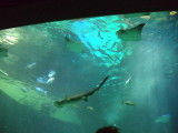 DSC00587.JPG