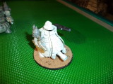 Epic Eldar Orks 039.JPG