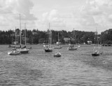 chester_bw