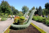 DS0_2137.JPG