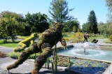 DS0_2157.JPG