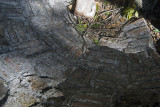 Olympos December 2013 4061.jpg
