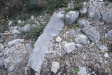 Termessos December 2013 3482.jpg