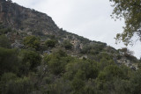 Pinara December 2013 4572.jpg