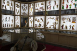 Bursa Karagoz Museum May 2014 7534.jpg