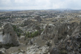 Cappadocia fox country Urgup september 2014 1770.jpg