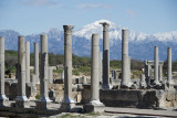 Perge feb 2015 5144.jpg