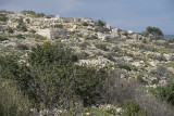 Korykos to Ayas March 2015 7040.jpg