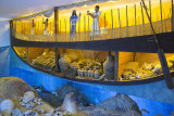 Bodrum Museum Uluburun shipwreck October 2015 3715.jpg