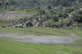 Dalyan Rock graves 2016 6689.jpg