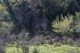 Dalyan Rock graves 2016 6785.jpg