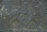 Fethiye Ancient finds 2016 7199.jpg