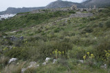 Xanthos 2016 7233.jpg