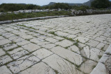 Xanthos Decumanus 2016 7227.jpg