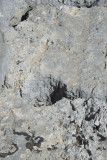 Cyaneae Theatre October 2016 0165.jpg