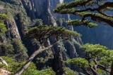 Huangshan or Yellow Mountain, China