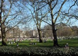 <a href=http://www.royalparks.org.uk/parks/green-park/about-green-park >Green Park</a>