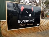 The Bonorong Wildlife Sanctuary is dedicated to getting injured or ill wildlife healthy and back to the wild