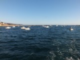All the boats heading back to Newport Harbor