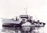 HMS Potentilla
