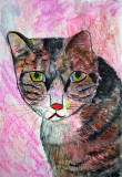 My Cat Dillain painted in Inktense pencils and Gellitos