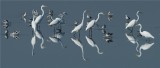 Great Egrets and American Avocets 