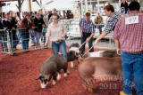 IMG_6121.jpg