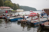 IMG_8609.jpg