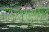 IMG_8604.jpg
