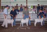 IMG_9452.jpg