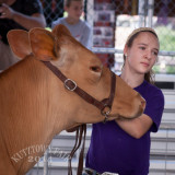 IMG_8232.jpg