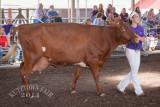 IMG_8271.jpg