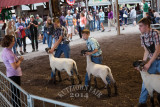IMG_8451.jpg
