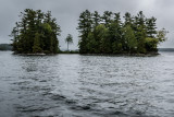 DSC02477.jpg