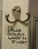 Drunk Octopus wants beef! 