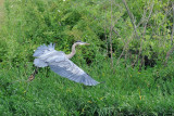 DSC_6801.jpg