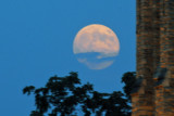 DSC_7065.jpg