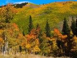 Kenosha Pass - CO