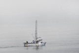 Fisher in the Fog