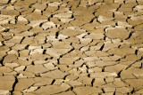 Face of Drought