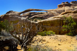 Landscape Arch,  Arches National Park